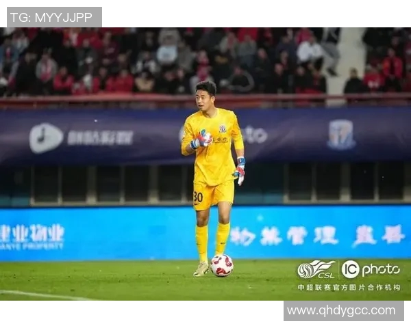 国安与申花激战正酣视频直播全程回顾精彩瞬间与赛后分析